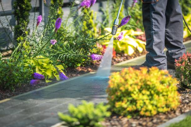 Best Restaurant Pressure Washing  in Decorah, IA