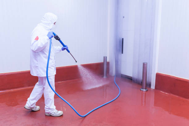 Trusted Decorah, IA Pressure Washing Experts